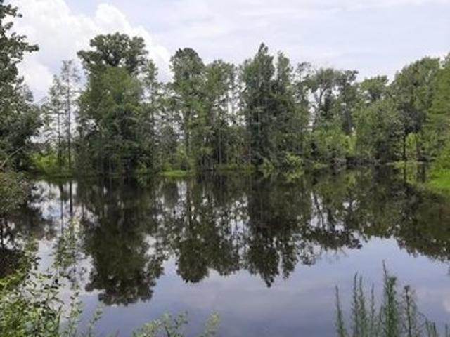 Farm for sale in Pearson, Georgia