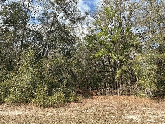 Land for sale in Webster, Florida