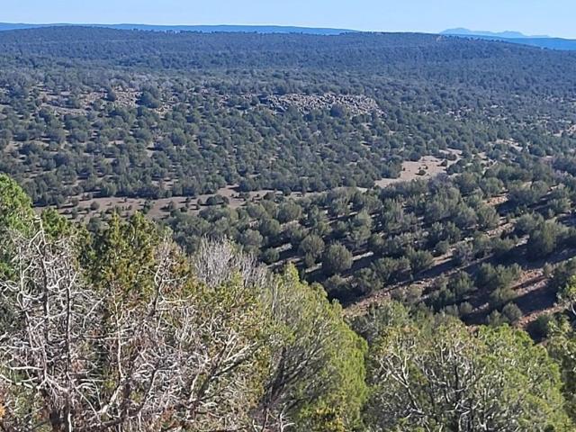 Land for sale in Williams, Arizona