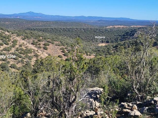 Land for sale in Arizona