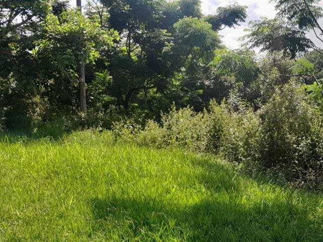 Land for sale in Durban