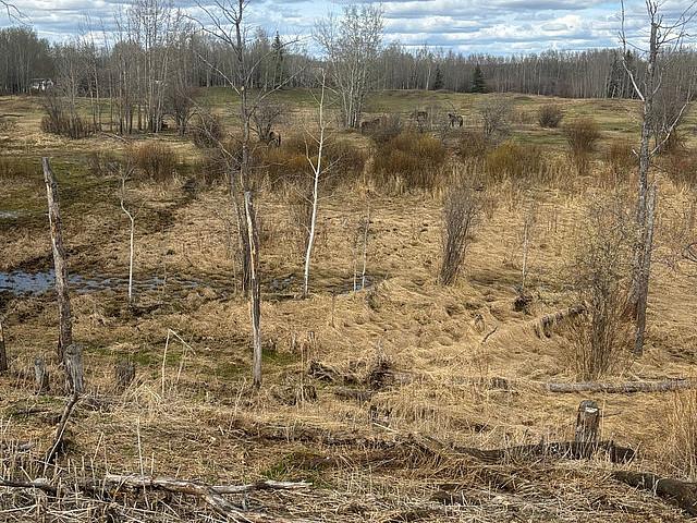 Land for sale in Stony Plain, Alberta
