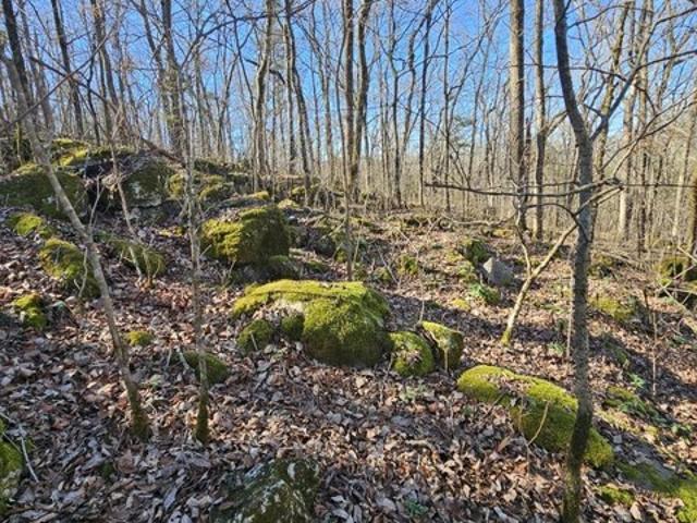 Land for sale in Somerville, Alabama