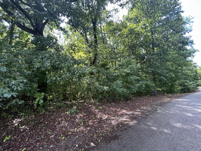 Land for sale in Tennessee