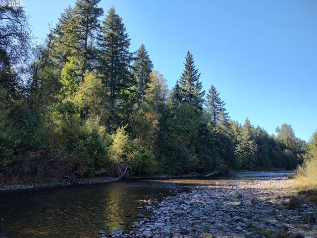 Land for sale in Carson, Washington