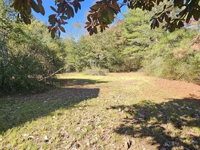 Land for sale in Springville, St. Clair County