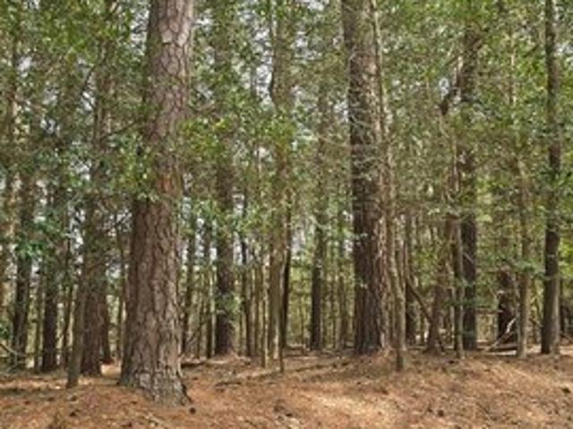 Land for sale in Virginia