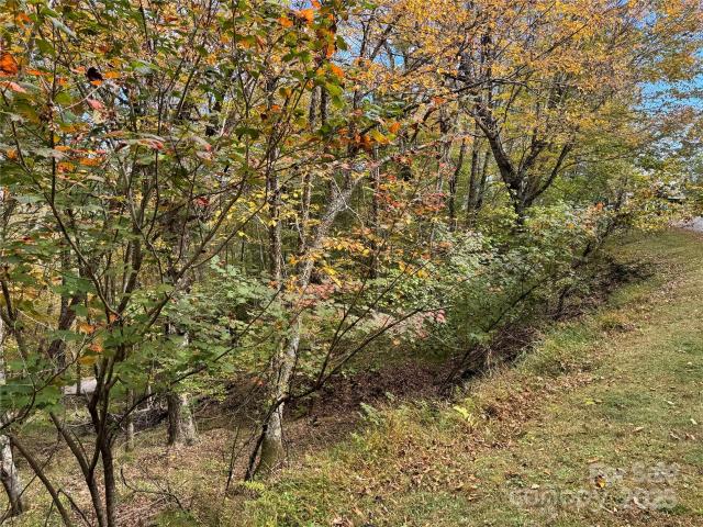 Land for sale in Yancey, North Carolina