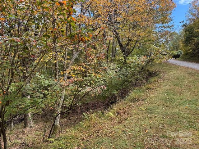 Land for sale in Yancey, North Carolina