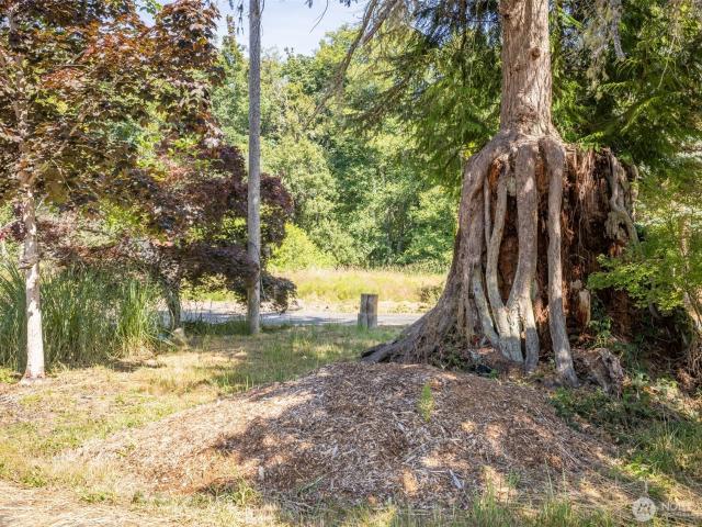Land for sale in Port Angeles, Washington