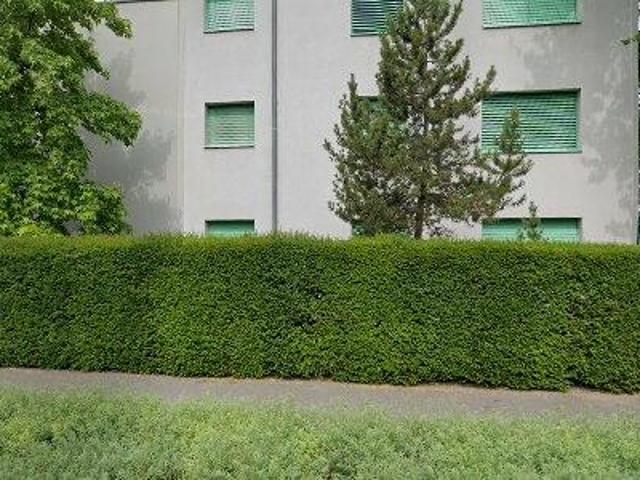 Apartment mieten in Basel-Landschaft