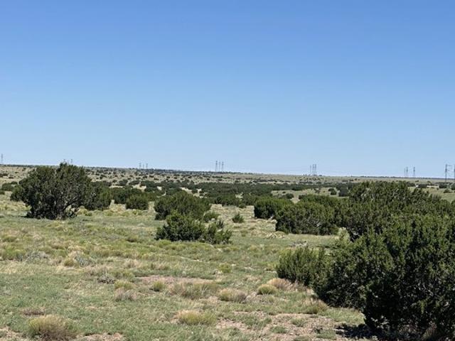 Land for sale in Quemado, Catron County