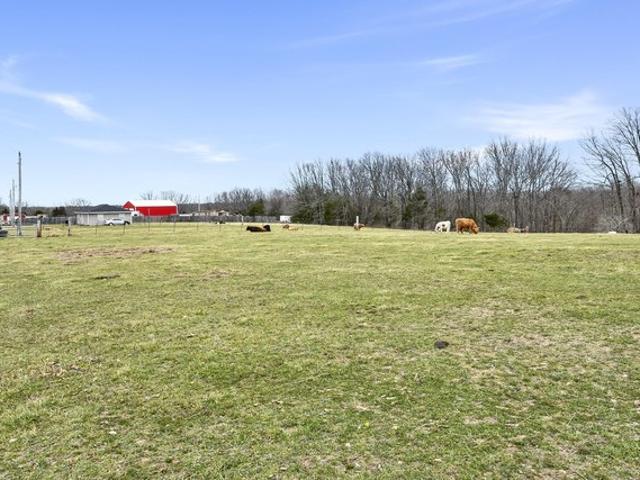 Land for sale in Fordland, Missouri