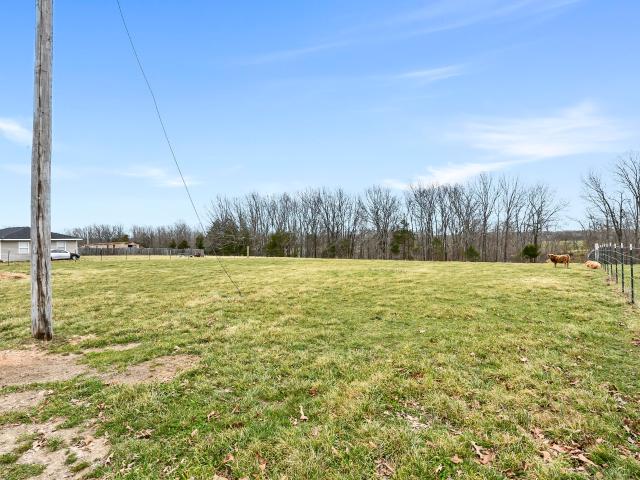 Land for sale in Fordland, Missouri