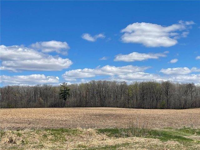 Land for sale in Princeton, Minnesota