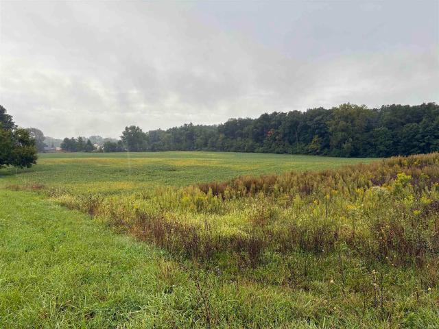 Land for sale in Albany, Delaware County