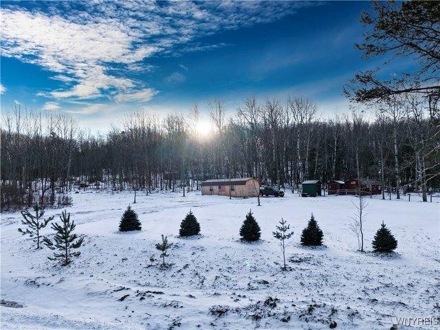 Land for sale in East Otto, New York
