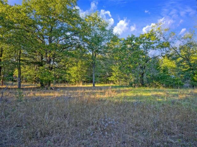 Land for sale in Teague, Texas