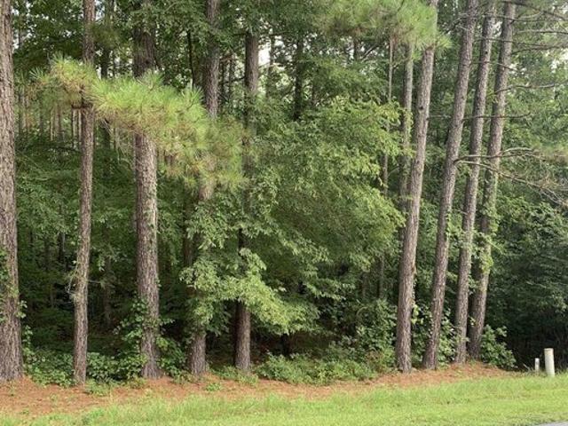 Land for sale in Hodges, South Carolina