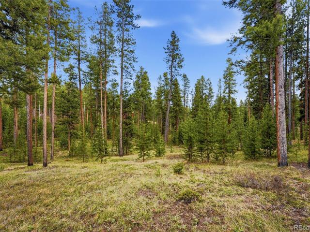 Property for sale in Colorado
