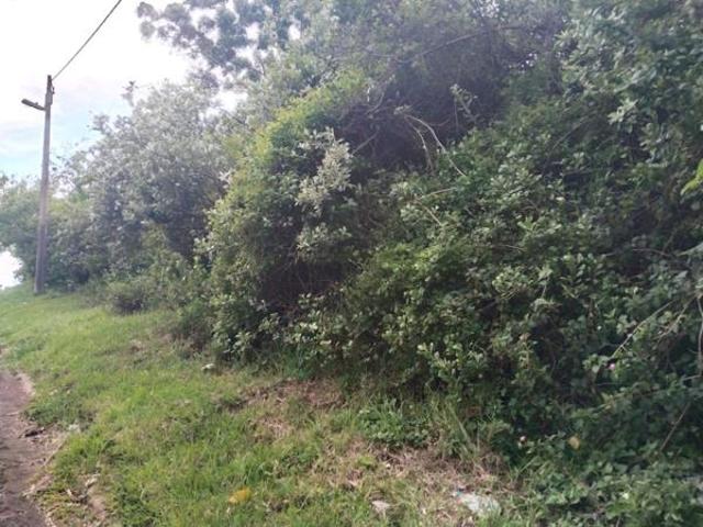 Land for sale in La Mercy, Kwazulu-natal