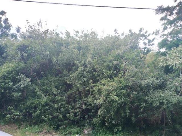 Land for sale in La Mercy, Kwazulu-natal