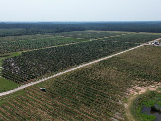 Land for sale in Baxley, Georgia