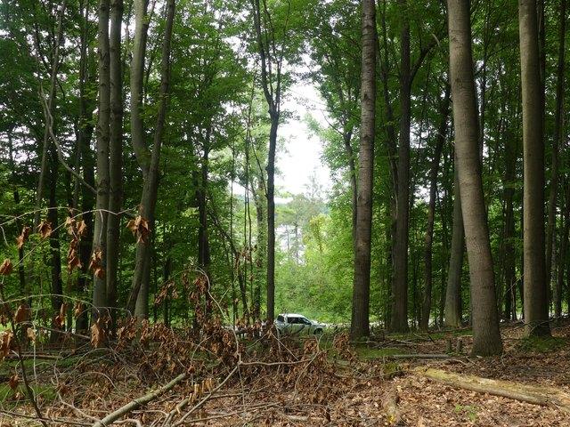 Land for sale in Newaygo, Michigan