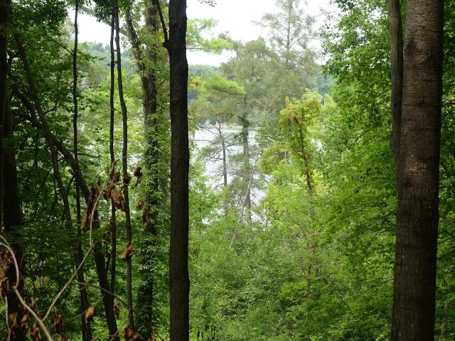Land for sale in Michigan