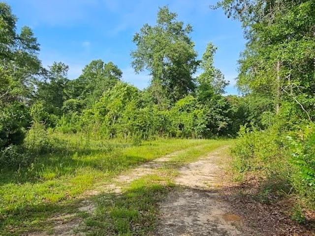 Land for sale in Dale, Alabama