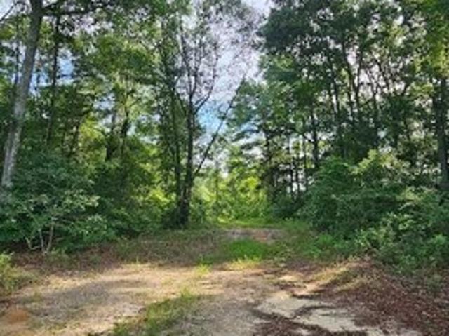 Land for sale in Dale, Alabama