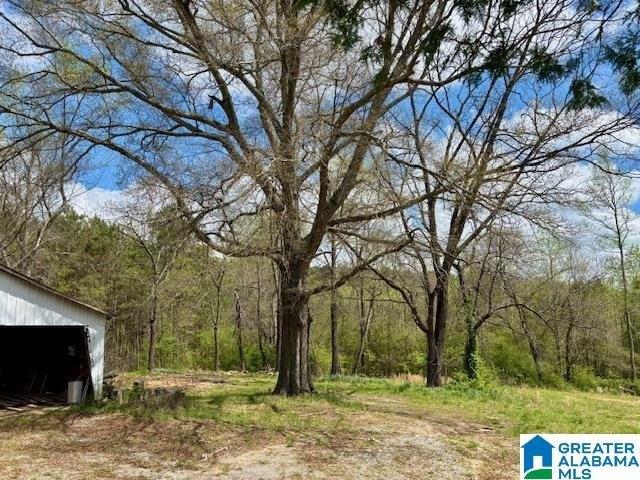 Land for sale in Cullman, Alabama