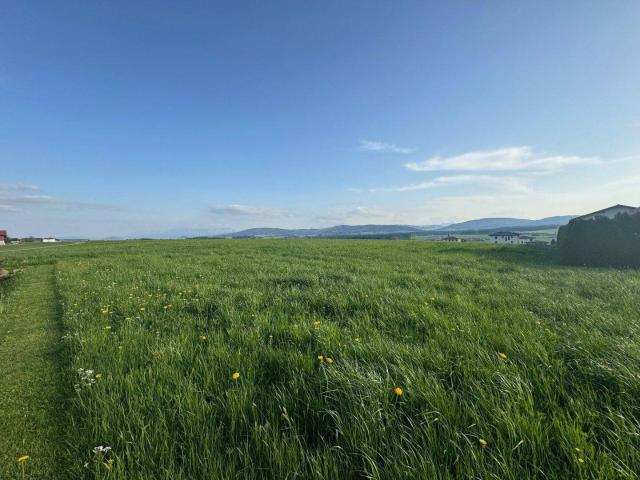 Immobilie kaufen in Frankenmarkt, Oberösterreich