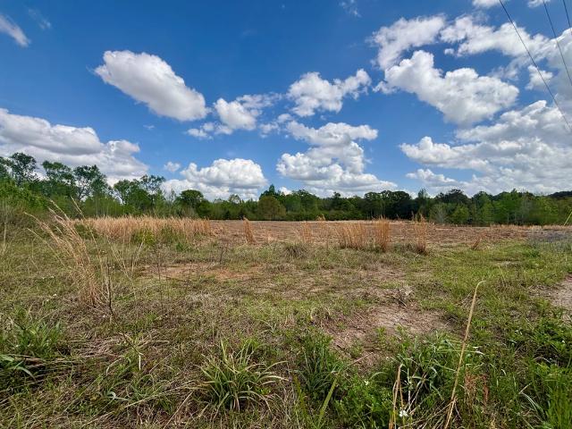 House for sale in Dothan, Alabama