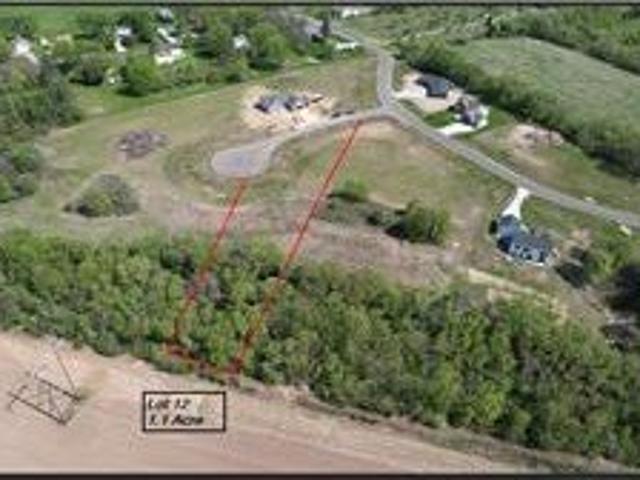 Land for sale in Pine Island, Minnesota