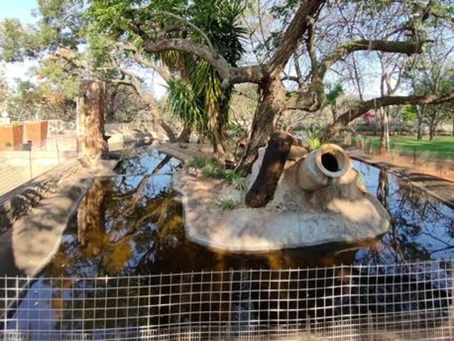 Land for sale in Naboomspruit, Limpopo