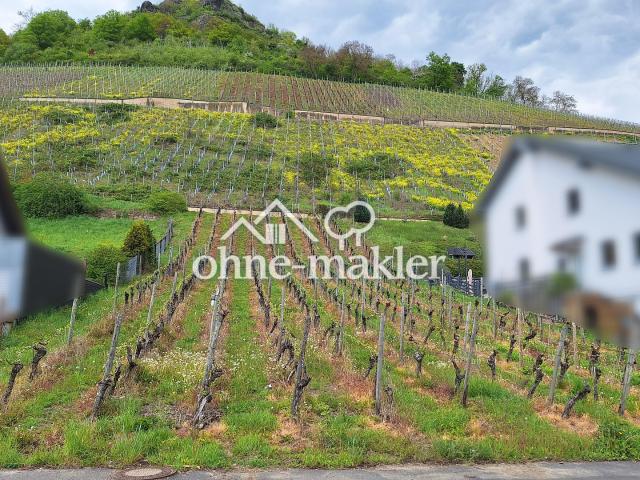 Erdgeschosswohnung kaufen in Bad Neuenahr-Ahrweiler, Rheinland-Pfalz