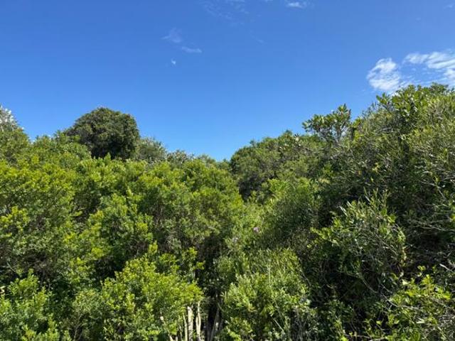Land for sale in Bushmans River Mouth, Eastern Cape