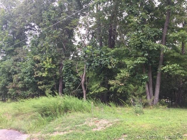 Land for sale in Friedenswald, Camden County