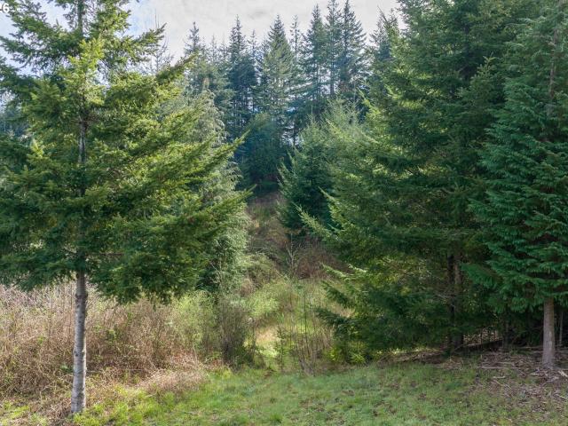 Land for sale in Oregonia