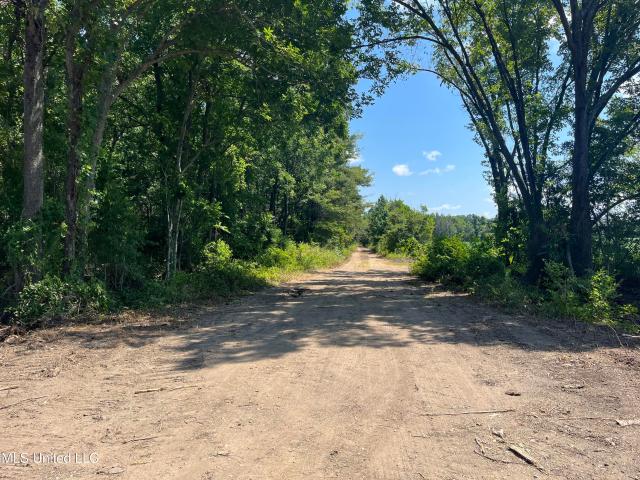 Land for sale in Waterproof, Louisiana