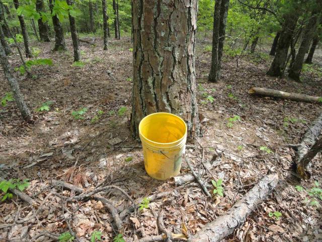 Land for sale in Ark