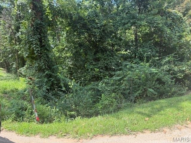 Land for sale in Bonne Terre, Missouri