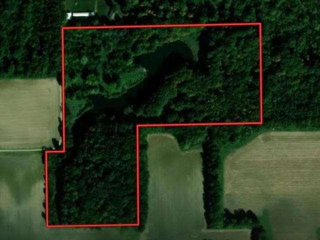 Land for sale in Loami, Illinois