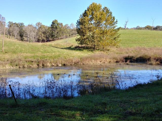 Farm for sale in Biddle, Stamping Ground