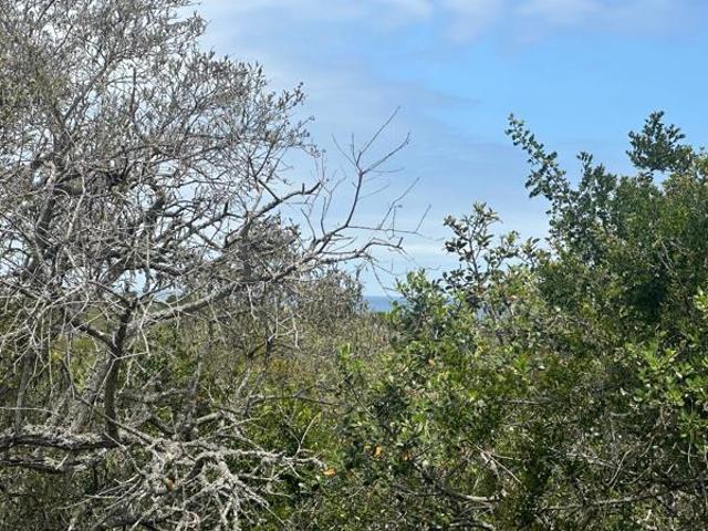Land for sale in Eastern Cape