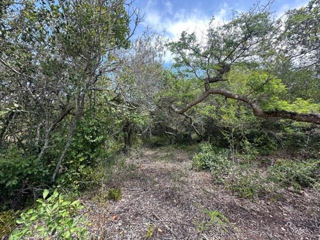 Land for sale in Eastern Cape