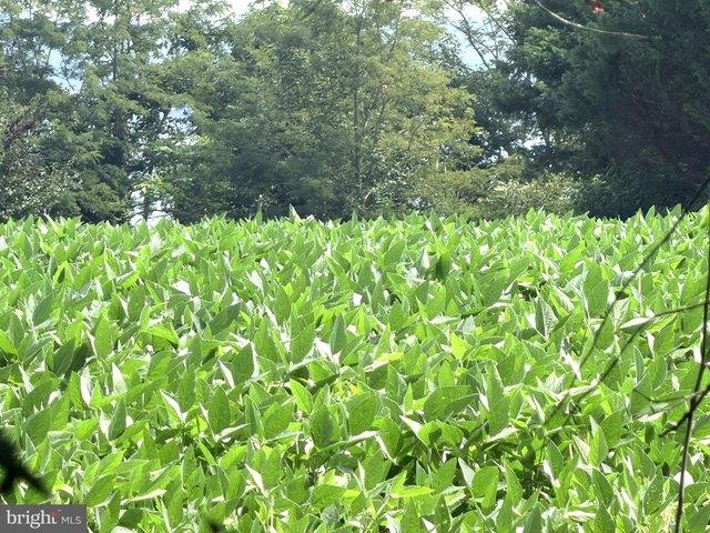 Land for sale in Maryland
