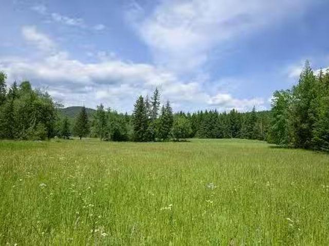 House for sale in Clearwater, British Columbia