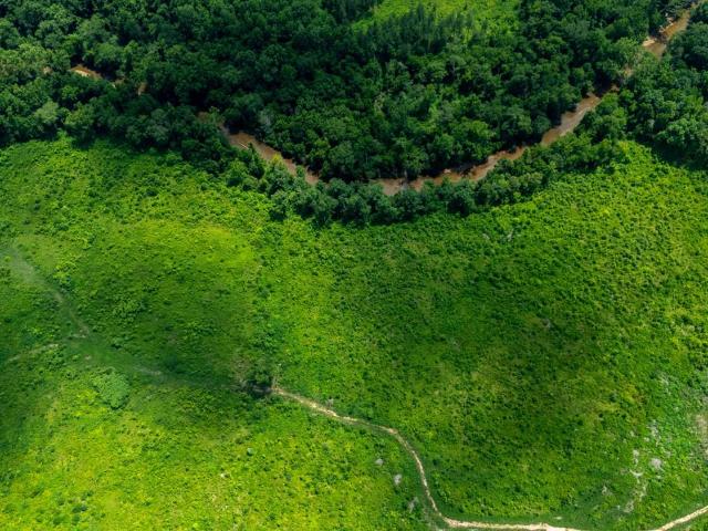 Land for sale in Virginia